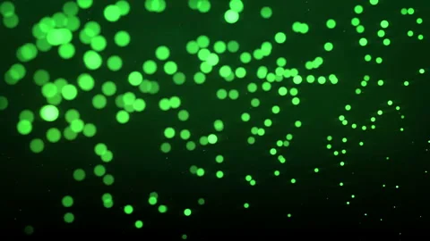 Glittering Green Fireflies Stock Footage 111284709