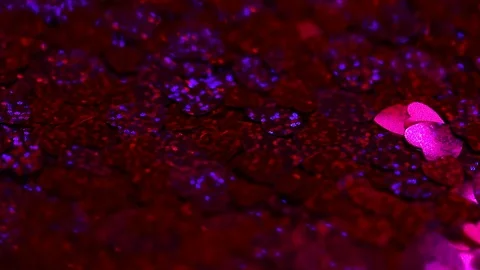 Glittering hearts background Stock Footage 123067177