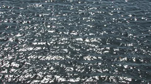 Glittering Lake Surface Stock Footage 10816853
