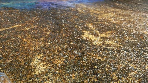Glittering light with fish swimming upstream ascend to higher ground Stock Footage 291779153