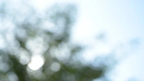 Glittering light, Out of focus at the point where the light under the leaves Stock Footage 131379918