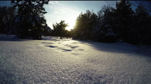 Glittering snowflakes in the sun Stock Footage 59959369