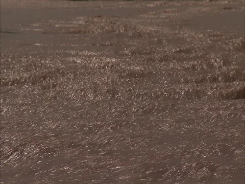 Glittering stream Stock Footage 2315265