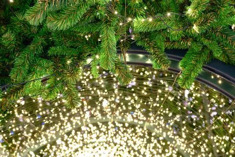 Glittering string lights with pine leaf decoration on arch Stock Photos
