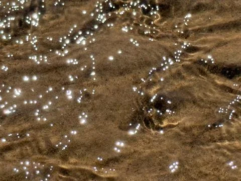 Glittering Sun Reflections on Clear Shallow Water Texture Stock Photos