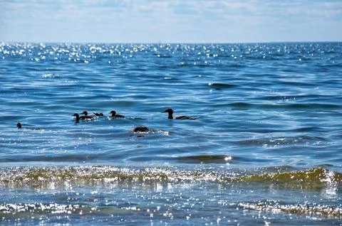 Glittering water Stock Photos