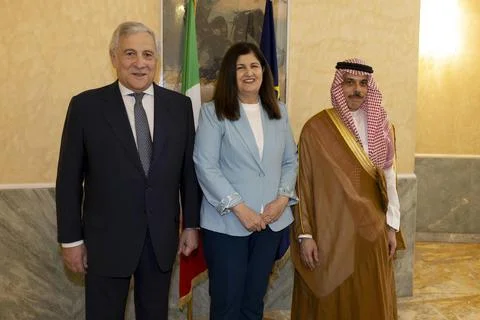 Global Alliance for the Two-State Solution meeting in Rome, Roma, Italy - 29 Jul 库存照片