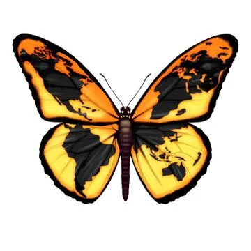 Global Butterfly Stock Illustration