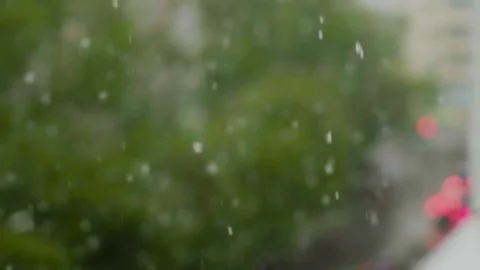 Global climate change. summer snow falling on the background of green trees i Stock-Footage 108705086