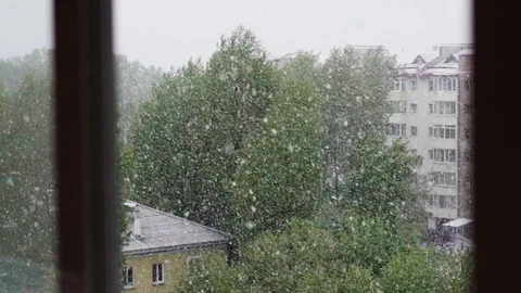 Global climate change. summer snow falling on the background of green trees i Stock-Footage 108705656
