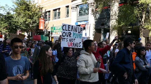 Global climate strike Stock Footage 119947408