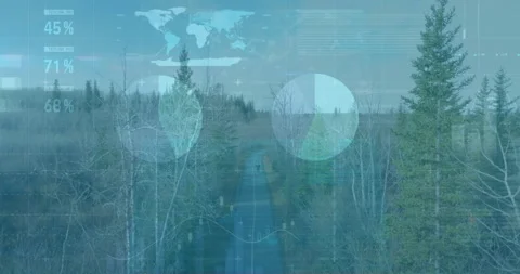 Global data analytics animation over forest landscape with trees and path Stock Footage 306214096
