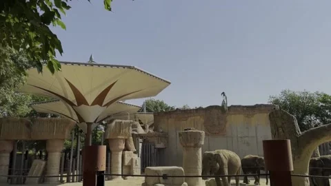 Global elephant population has fallen to 400,000, warns WWF Spain, Madrid, ES -  Stock Footage 314718029