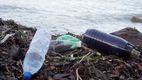 A global environmental problem related to plastic waste. Stock Footage 251576863