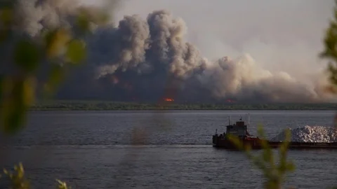 Global fire in the forest. Stock Footage 102440685