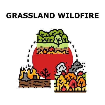 Global forest burning wildfire disaster climate changing concept Stock Illustration