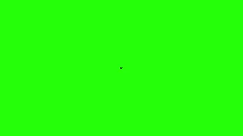 Global with Grid and Leaf Icon Stock Footage 342779388