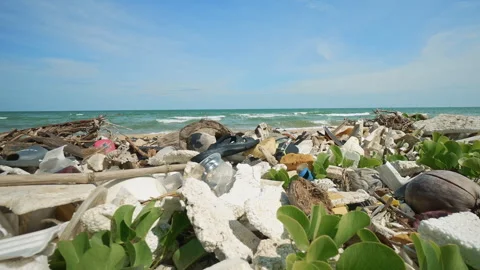 Global Ocean Pollution. A Huge Amount of Plastic Debris is Thrown out by Ocean Video stock 256285901
