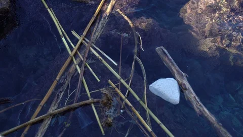 Global planet pollution, water surface covered with wooden and plastic debris Stock-Footage 126215382