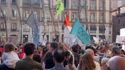 Global strike for planet, people protesting during fridays for future. Stock Footage 116810493