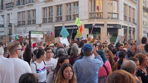 Global strike for planet, people protesting during fridays for future. Video stock 117016993