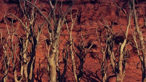 Global Warming 4k Stock Footage 197726449