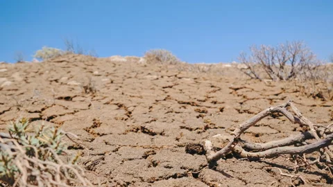 Global warming and climate change problems lead to ecological catastrophe Video stock 101064966