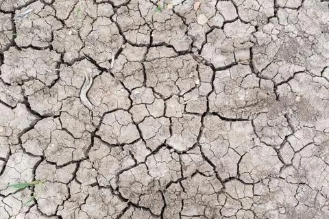 Global warming background, texture or pattern. Cracks in mud Stock Photos