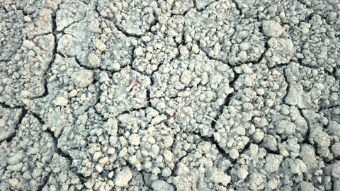 Global warming causes the death of plants and arid land, which is eventually Stock Footage 155736153