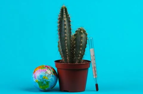 Global warming. Climate control. Globe, thermometer and cactus on blue backgr Фото