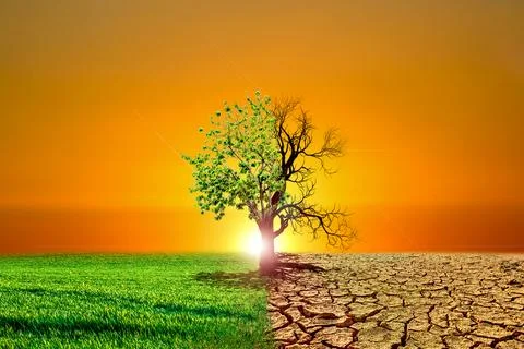 Global warming concept image showing the effects of dry land on the changing  Stock Photos