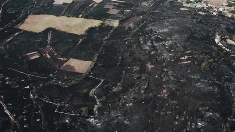 Global warming damage. Stockbeeldmateriaal 159602667