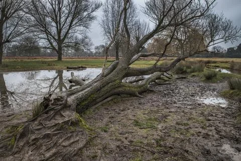 Global warming devastation Stock Photos