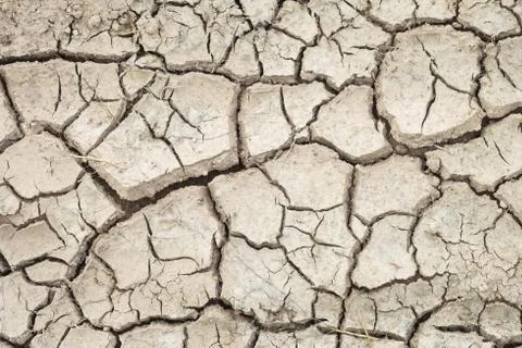 Global warming, Drought. Stock Photos