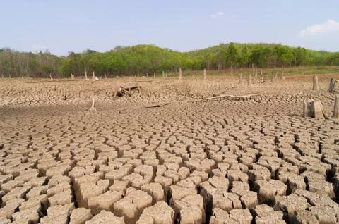 Global warming, Drought. Stock Photos