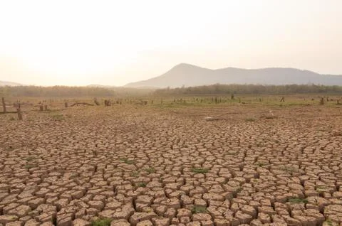 Global warming, Drought. Stock Photos
