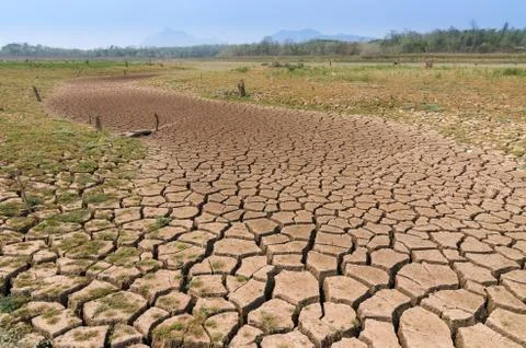 Global warming, Drought. Stock Photos