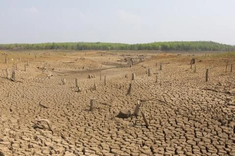 Global warming, Drought. Stock Photos