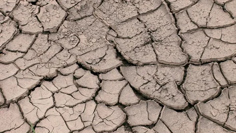 Global warming, environmental disaster in the form of drought 스톡 동영상 259158762