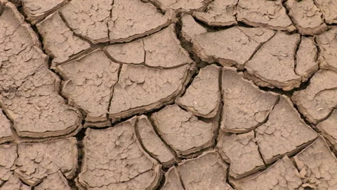 Global warming, environmental disaster in the form of drought Stock Footage 259166334