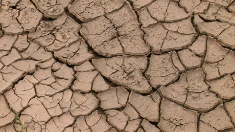 Global warming, environmental disaster in the form of drought Vídeos de archivo 259166352