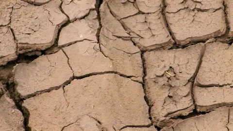 Global warming, environmental disaster in the form of drought 스톡 동영상 259166444