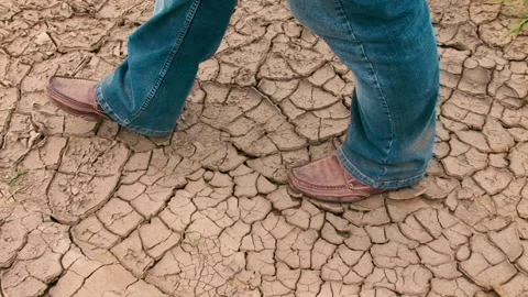 Global warming, environmental disaster in the form of drought Stock Footage 259166521