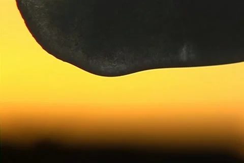 Global warming Stock-Footage 1391810