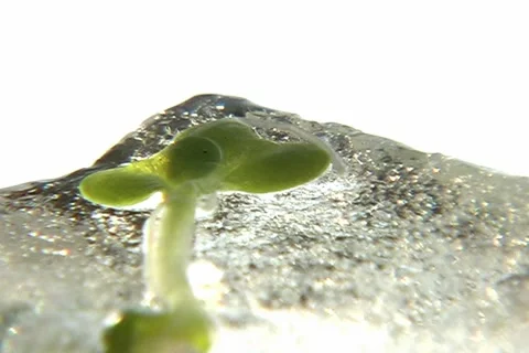 Global warming Stock-Footage 1450536