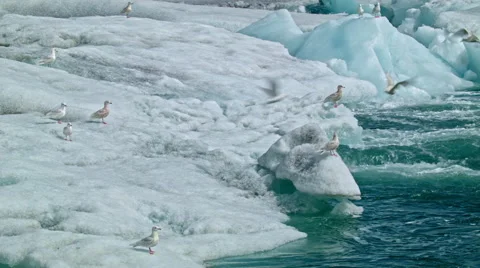 Global warming glacier melt Video stock 53086820