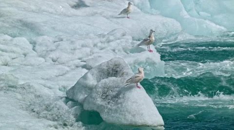 Global warming glacier melt Video stock 53086849
