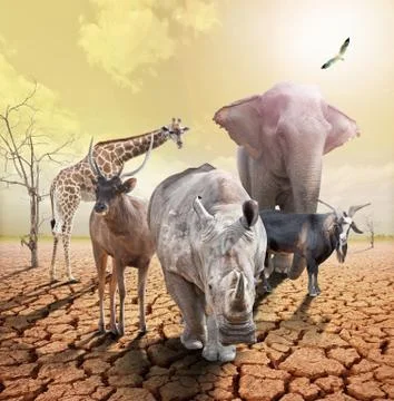 Global warming. Stock Photos