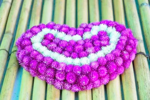 Globe amaranth Stock Photos