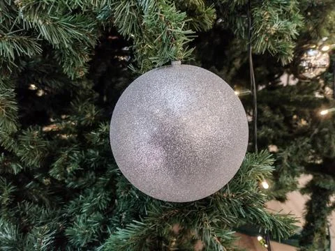 Globe on a Christmas tree Фото